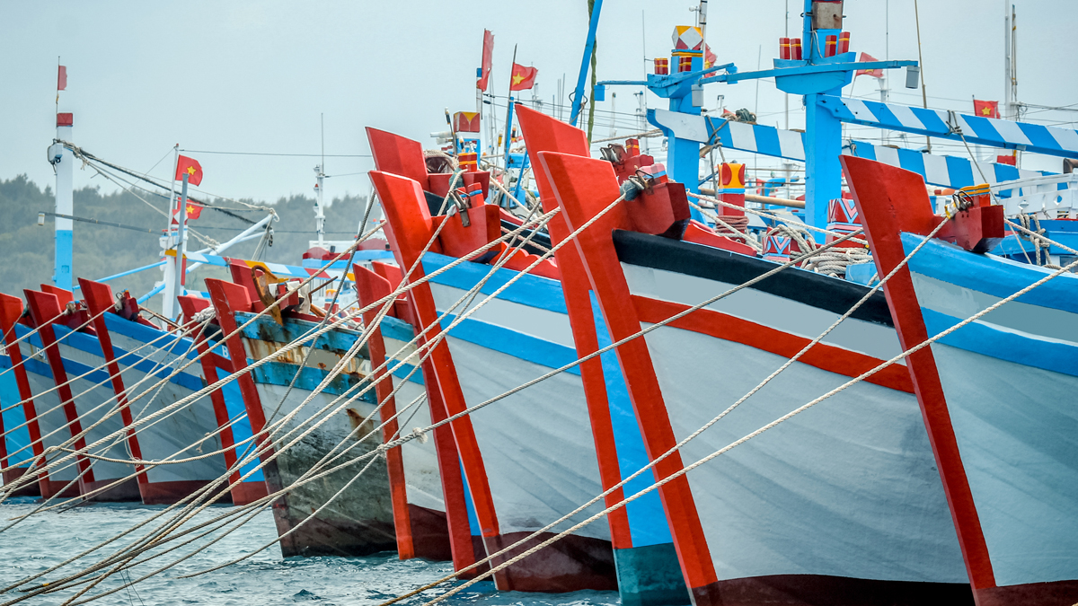 Webinar on fisheries subsidies and the current negotiations at the WTO