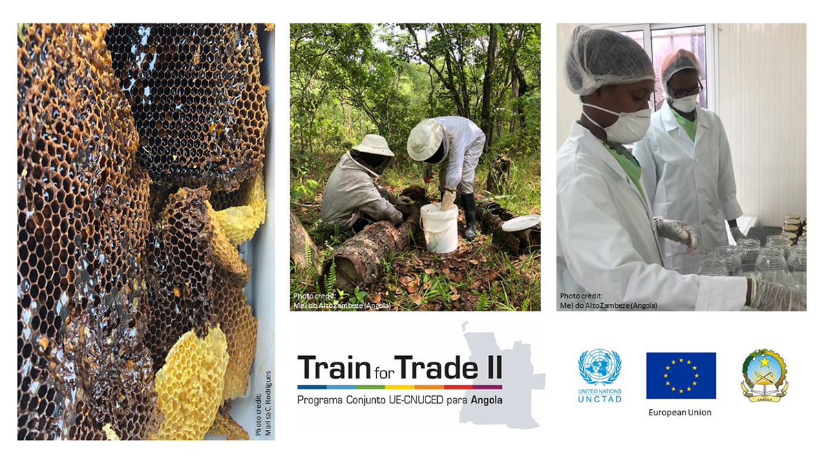 Webinar: Control and Quality in the Honey Value Chain in Angola: Foundations for Traceability, Certification and Exports