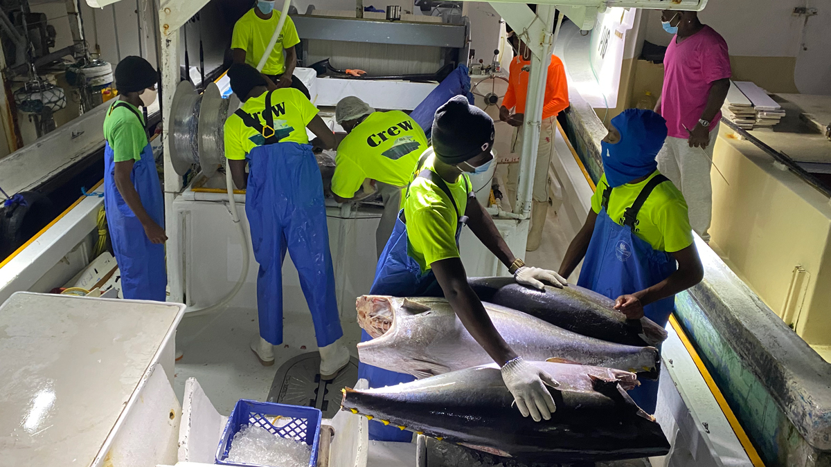 Workshop on the implementation of priority actions on sustainable trade of swordfish and other longline fisheries under Barbados Oceans Economy and Trade Strategies