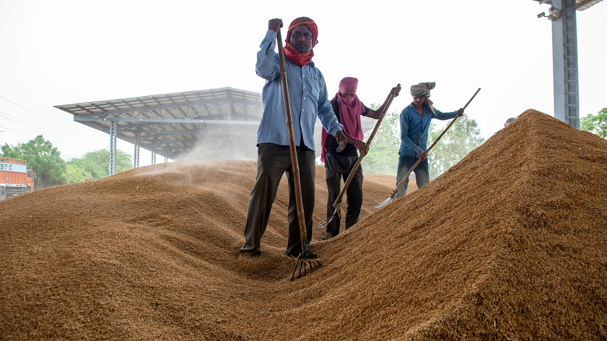 Workers at a grain market in India
