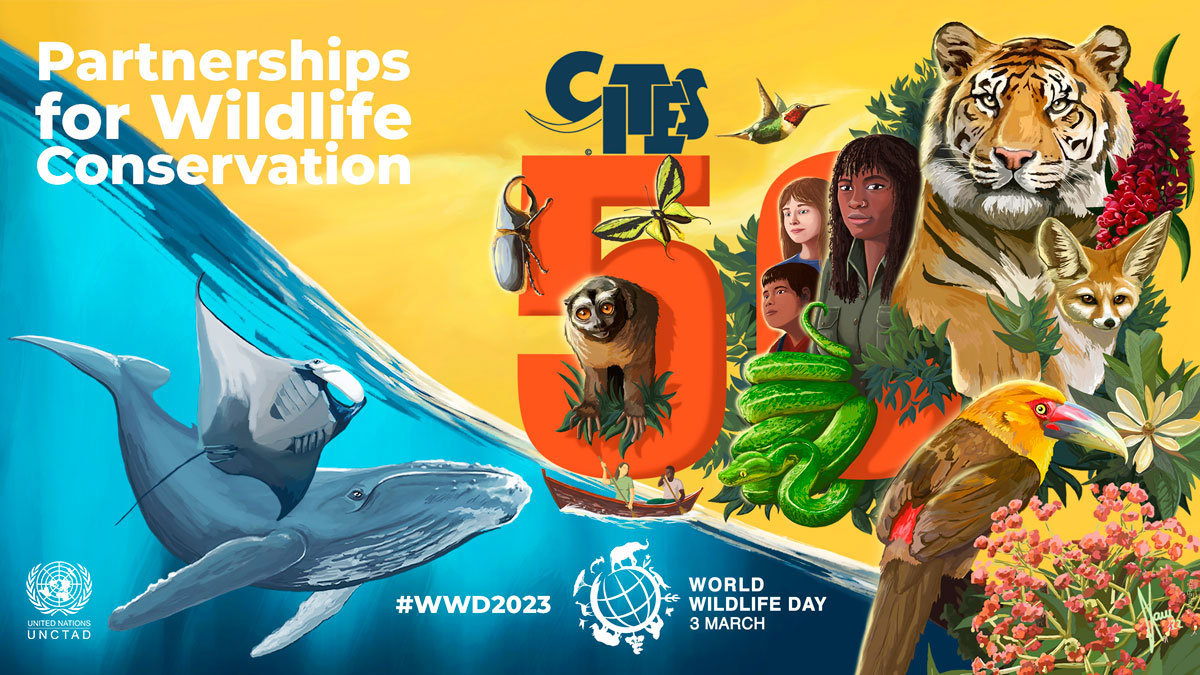 Geneva World Wildlife Day celebration: 50 years of partnerships for wildlife conservation and sustainability