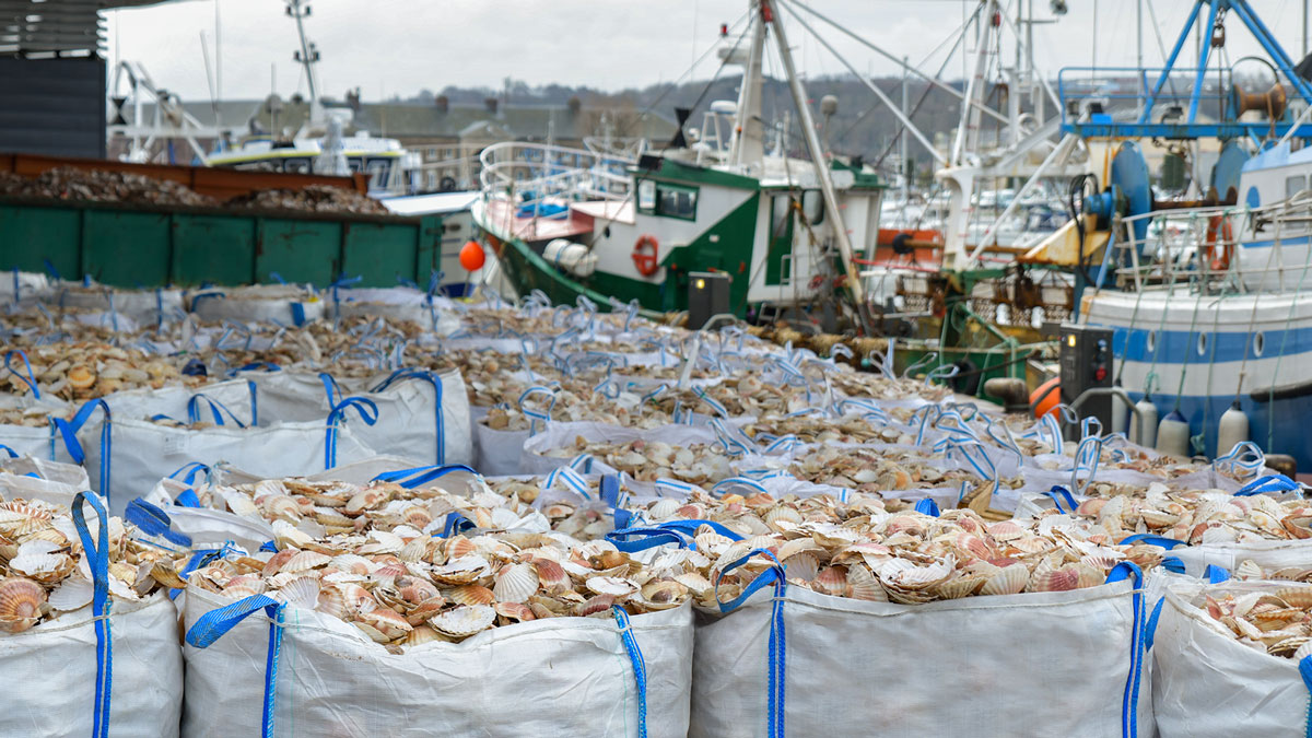 International webinar on regional trade agreements and fisheries and aquaculture products: Today and tomorrow