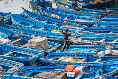 Blue fishing boats in harbor Essaouira, Morocco
