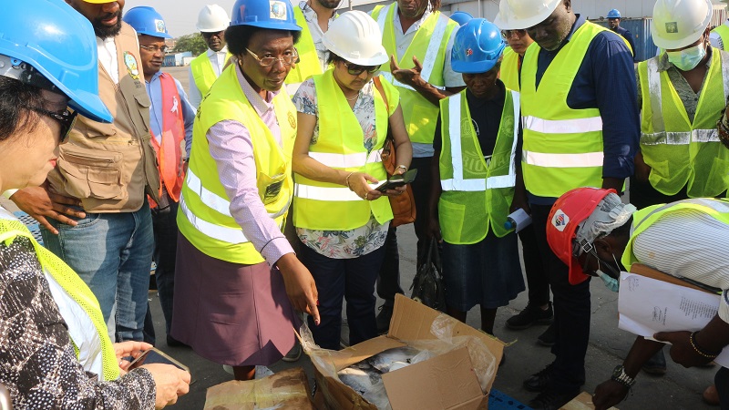 Angolan fisheries stakeholders and their partners assess fish exports at the Luanda port.