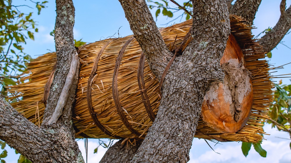 A traditional beehive in Bailundo, Angola.