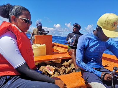 A Saint Lucia government official (left) inspects conch fishing operations along the island’s coast.