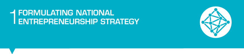 1. Formulating a National Entrepreneursip Strategy