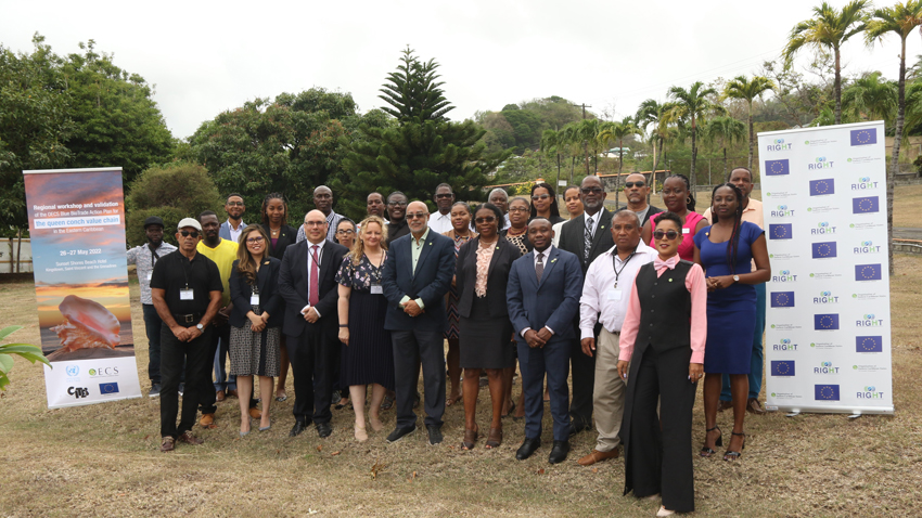 OECS Director-General H.E. Dr. Didacus Jules (front center) flanked by queen conch value chain stakeholders and the Blue BioTrade team (Photo courtesy of SusGren Inc.)
