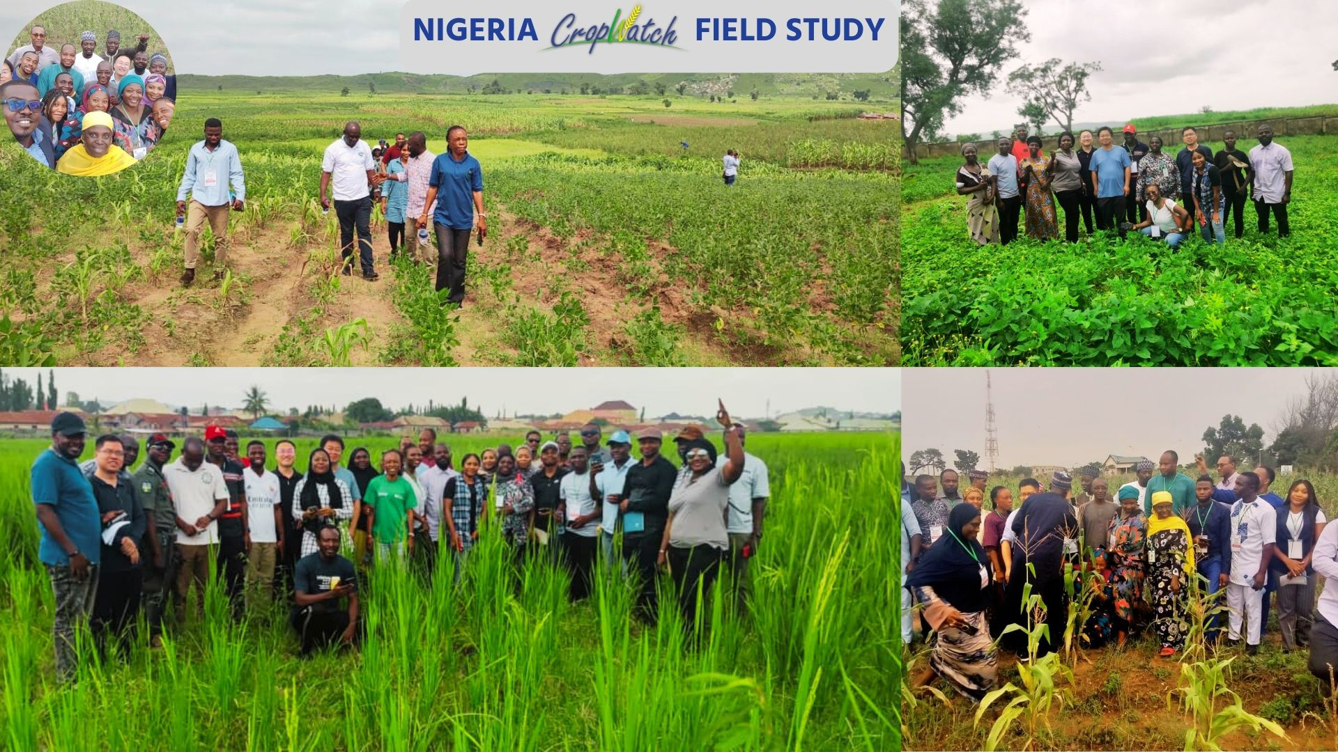 Nigeria update on Cropwatch Programme