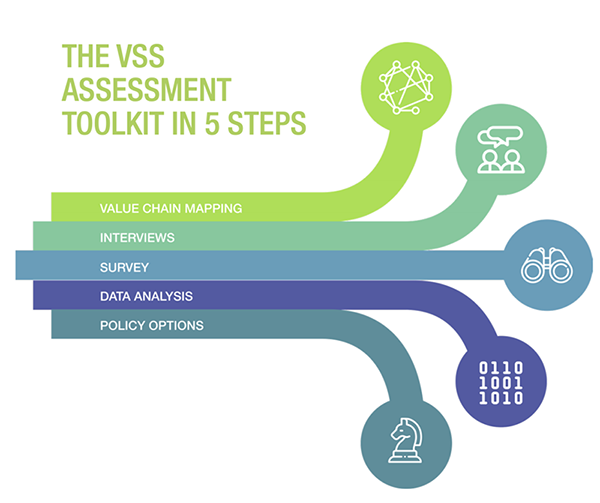 The VSS Assessment Toolkit