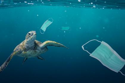 Growing plastic pollution in wake of COVID-19: How trade policy can help