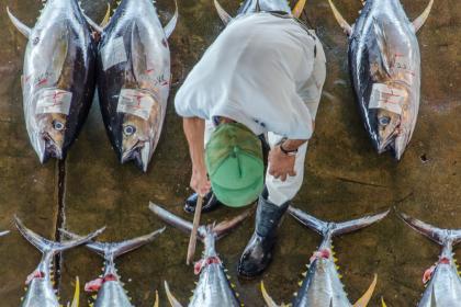 How to craft a strong WTO deal on fishing subsidies