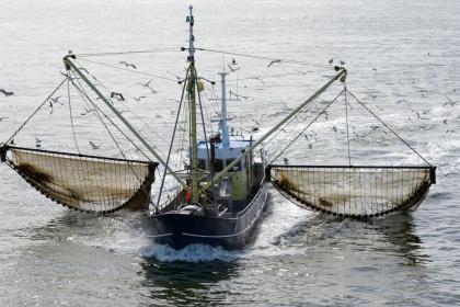 Fisheries subsidies deal: Why we need it and how to implement it
