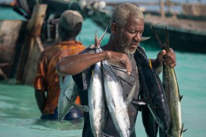 Trade in ocean goods shows resilience, UNCTAD data reveals