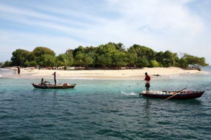Unlocking the potential of Haiti’s fisheries and aquaculture sectors