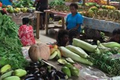 Vanuatu assesses its green export potential