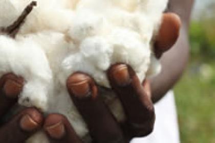 Copper-dependent Zambia eyes growing market for cotton by-products