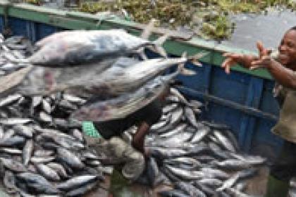 Experts look beyond WTO setback as time runs out to roll back harmful fishing subsidies