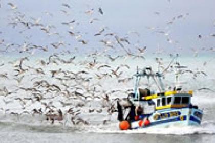 Oceans Forum: Use trade to help, not harm, global fisheries