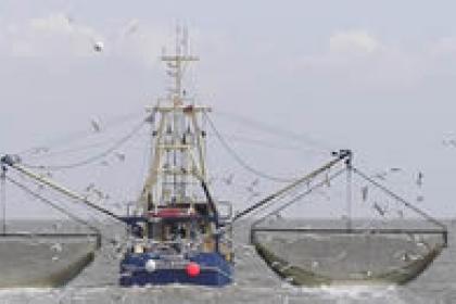 Costa Rica opts for trade-led sustainable fisheries strategy