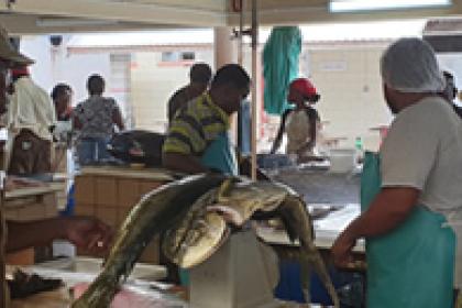 Barbados bets on high-value seafood for blue future