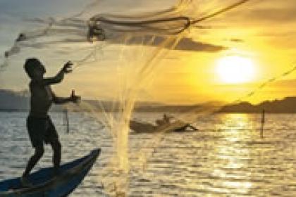 UNCTAD, Mauritius open fisheries regional centre of excellence
