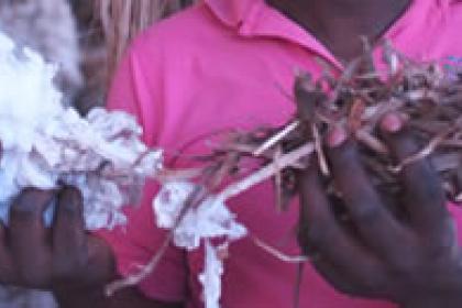Unlocking the hidden value of cotton by-products in African least developed countries