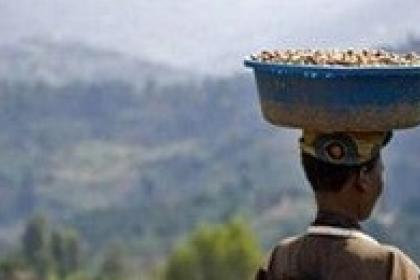 Coffee, honey, timber: Angola eyes cleaner, greener economic growth