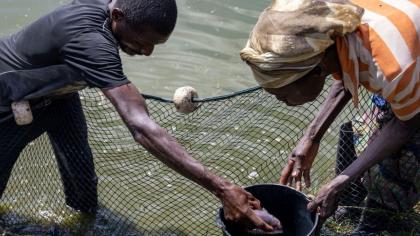 About half of the Angola population lives in coastal areas and relies on fisheries for livelihoods.