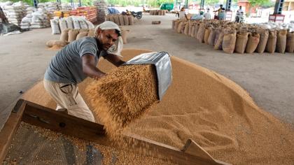 A worker sorts wheat at wholesale grain market in New Delhi, India.