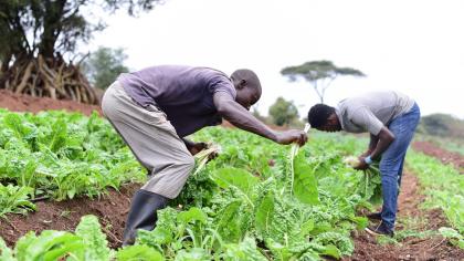 Drought-hit Kenya looks to technology to help boost agriculture and improve food security.