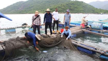 Angolan fisheries experts during a site visit to better understand the Vietnamese approach. 