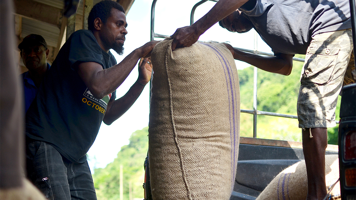 Farmers on the Vanuatu island of Malekula
