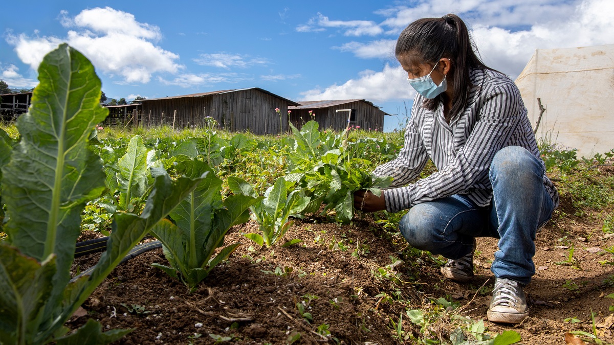 A young farmer in La Esperanza, Intibucá, Honduras
