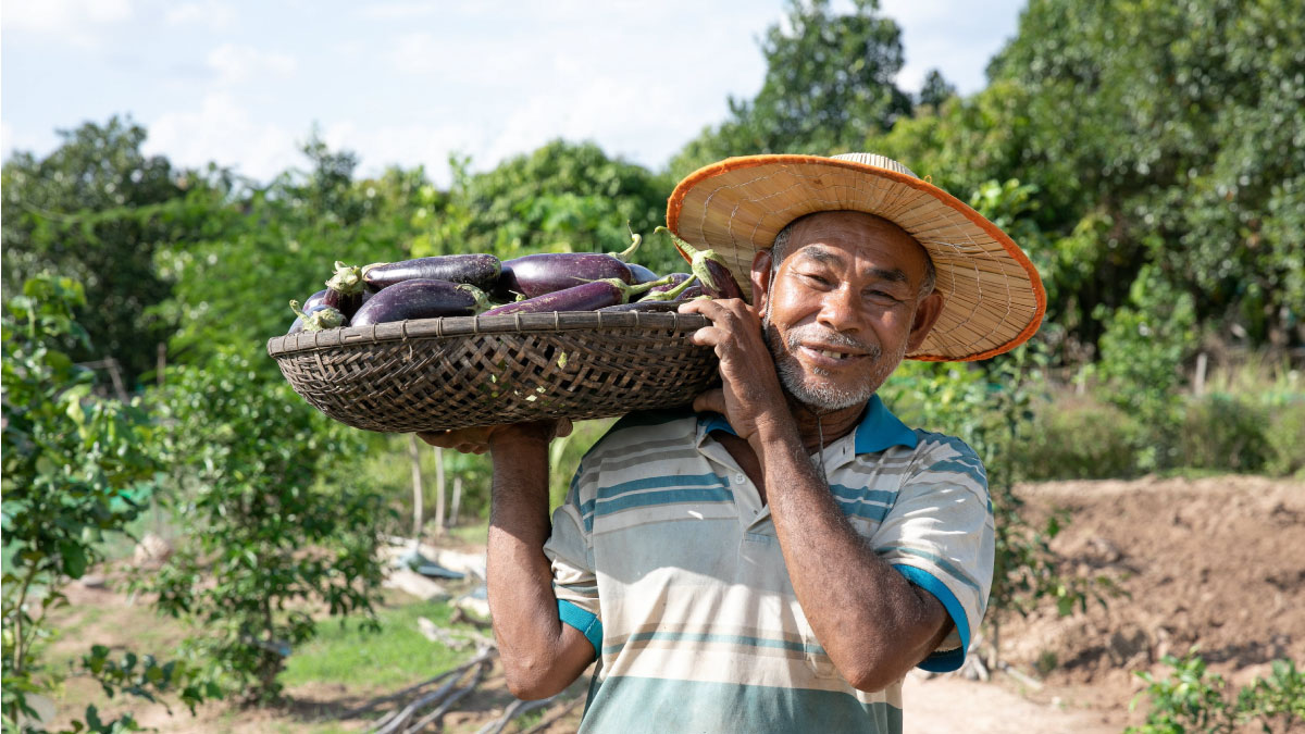 A farmer and his farmer produce.