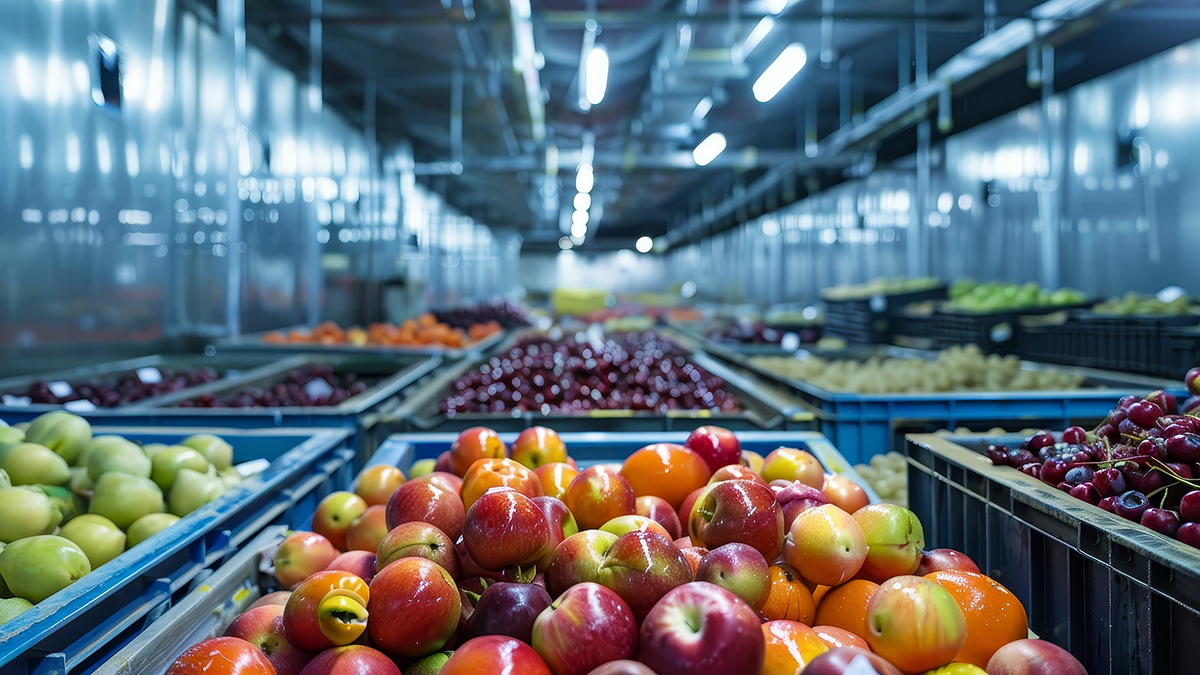 Transforming the cold chain one byte at a time