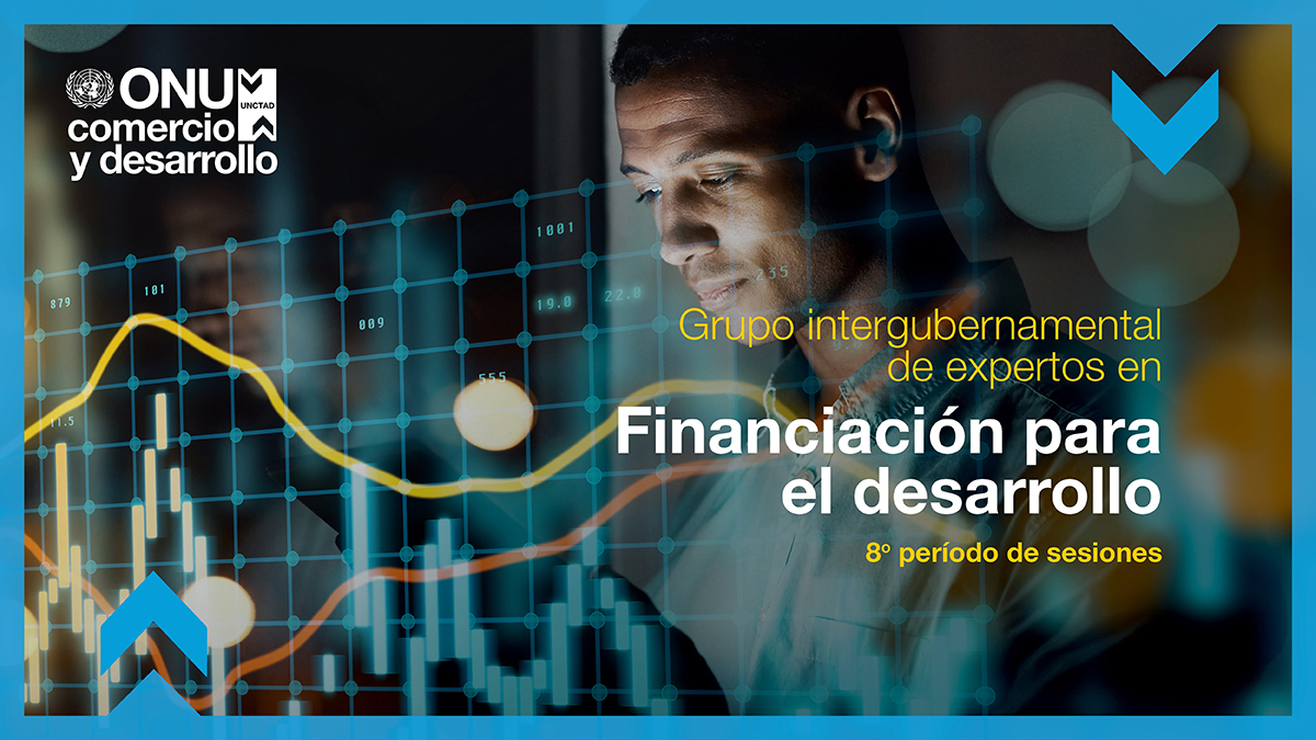 IGE on Financing for Development, eighth session