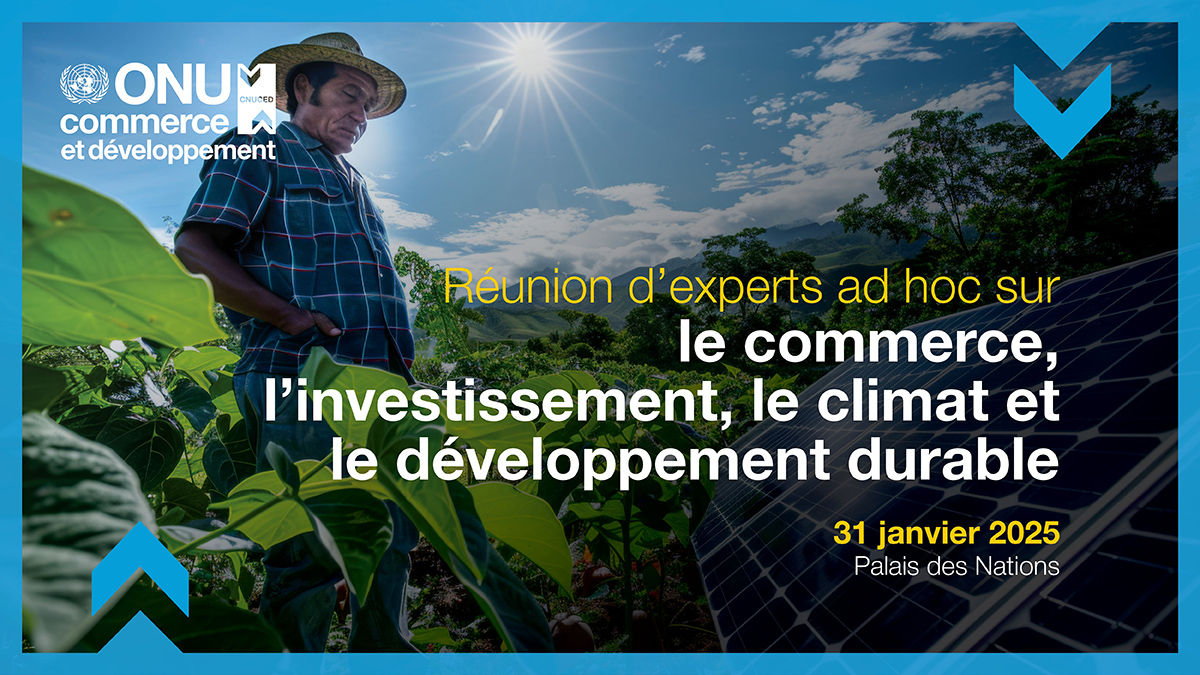 Réunion d'experts ad hoc sur le commerce, l'investissement, le climat