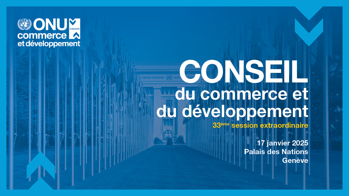 Trade and Development Board, thirty-third special session