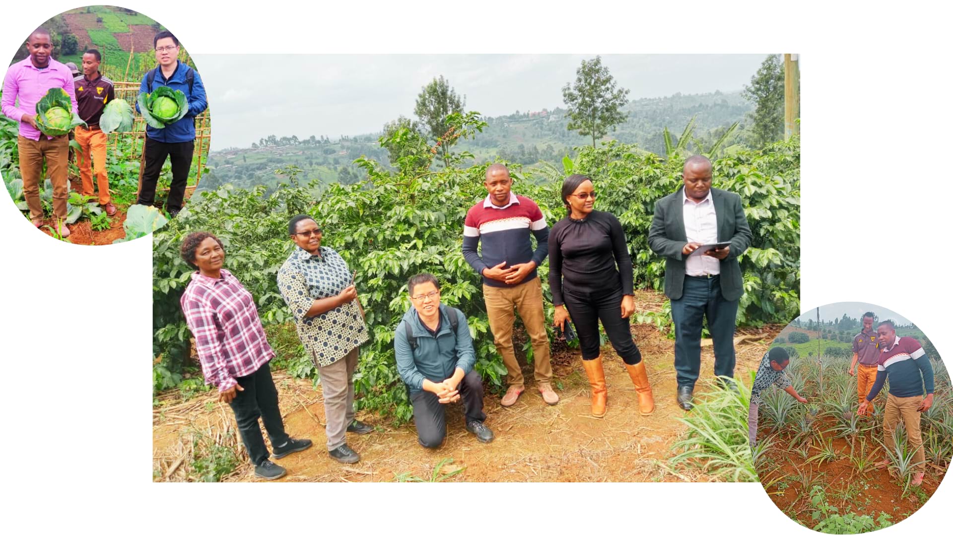 Kenya update on Cropwatch Programme